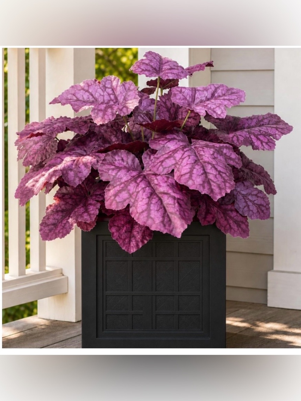 Heuchera Stems Artificial (3pack) PURPLE